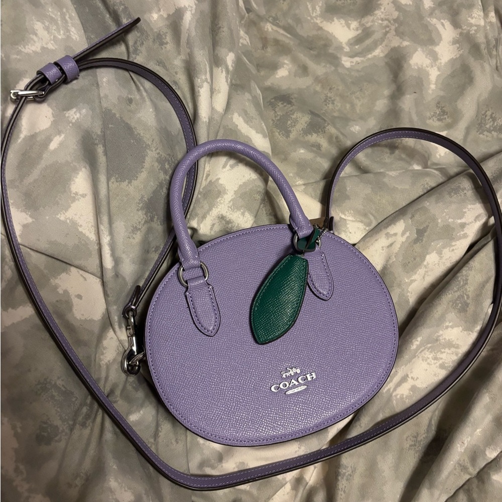 Coach Blueberry 🫐 purse!